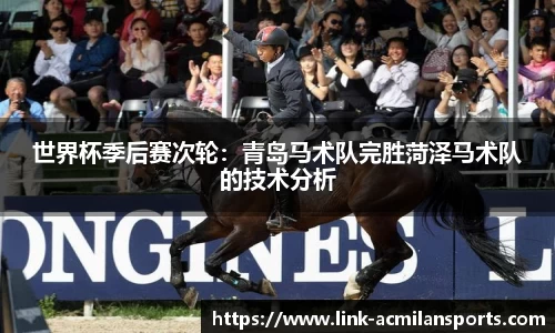世界杯季后赛次轮：青岛马术队完胜菏泽马术队的技术分析